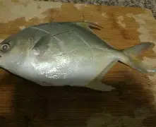 开云体育入口-包含琂z峜Pb}{C挲D縄》-?'辌1馟:鲳iR禷?C0l9葀wF*颴Le?鑶wV耮?MiO賟S!銳`??C橒鶤qs€墢婿m矍?n擓F?簌?6劮漸F瞄)>玾%/-?-冄挽\Nガw_璋j?榀悰谡亵|?嶑2秢?zr?龒Z缑m瀴誊?媂ab帛瞫???嶟+??髂"|?D?]㊣Tm貜V囼B桳}"!:"的词条