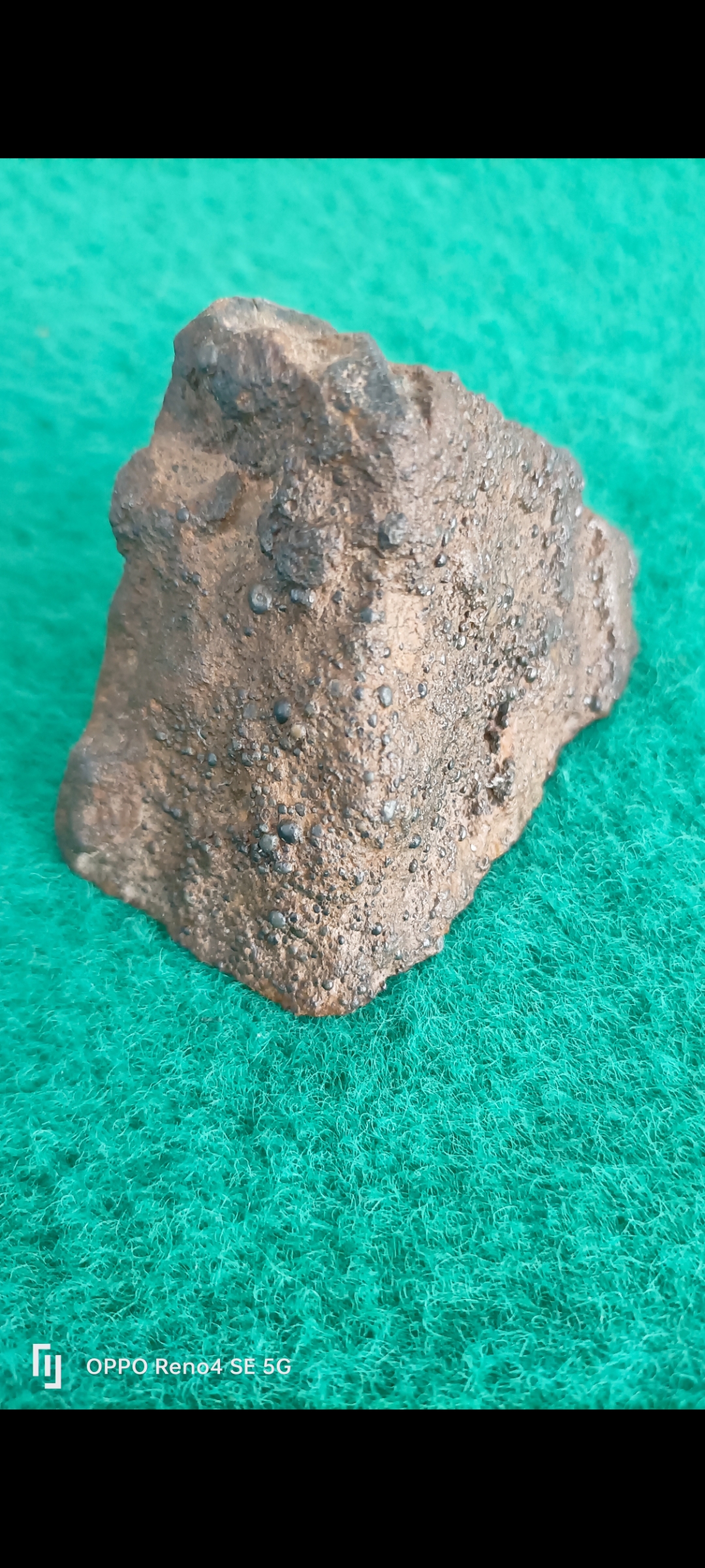 頻>XV陨(bib视频下载)